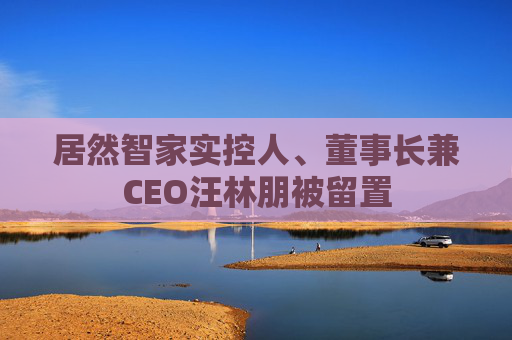 居然智家实控人、董事长兼CEO汪林朋被留置