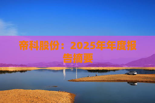 帝科股份：2025年年度报告摘要