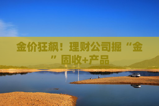 金价狂飙！理财公司掘“金”固收+产品  第1张