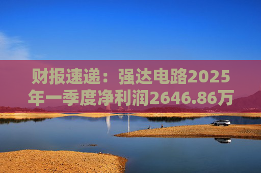 财报速递：强达电路2025年一季度净利润2646.86万元  第1张
