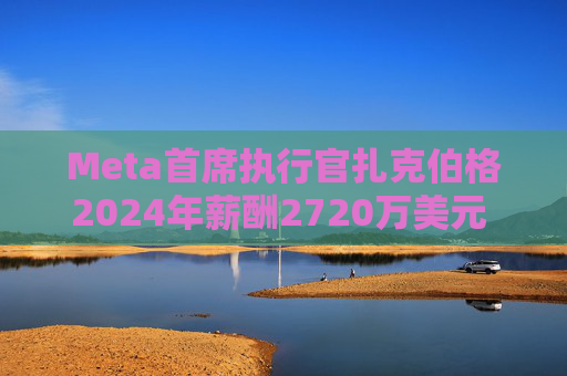 Meta首席执行官扎克伯格2024年薪酬2720万美元 高于上年的2440万美元