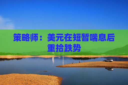 策略师：美元在短暂喘息后重拾跌势
