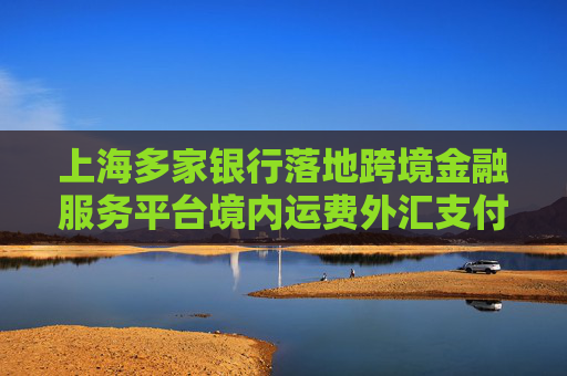 上海多家银行落地跨境金融服务平台境内运费外汇支付便利化业务