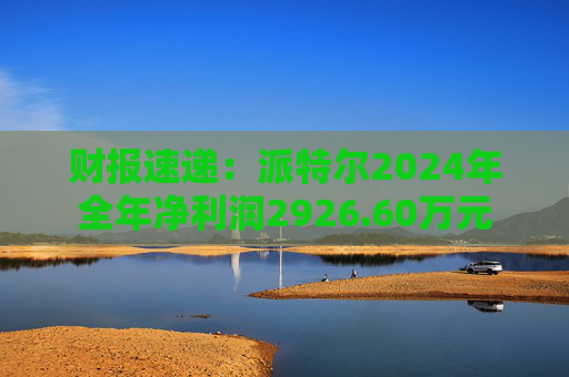 财报速递：派特尔2024年全年净利润2926.60万元