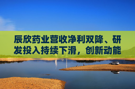 辰欣药业营收净利双降、研发投入持续下滑，创新动能不足亟待破局