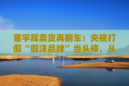 董宇辉卖货再翻车：央视打假“假洋品牌”当头棒，从道歉拖延看“文化人设”的信任裂痕