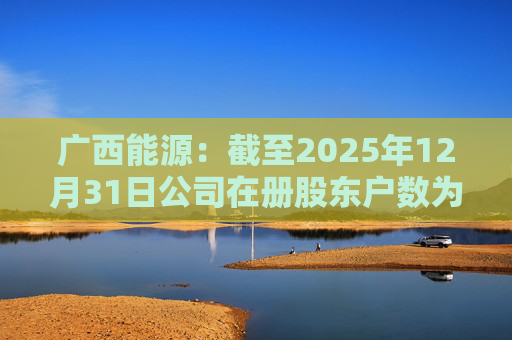 广西能源：截至2025年12月31日公司在册股东户数为53413户