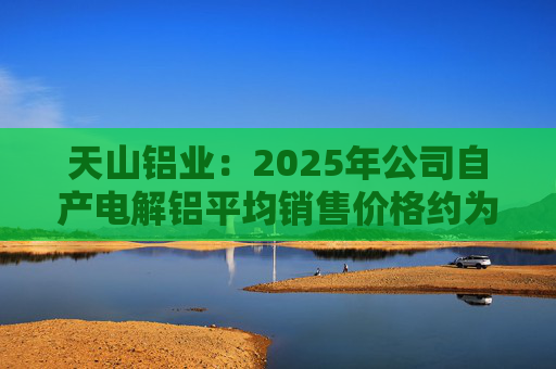 天山铝业：2025年公司自产电解铝平均销售价格约为20600元/吨
