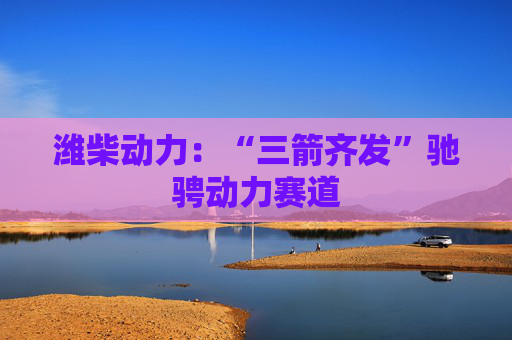 潍柴动力：“三箭齐发”驰骋动力赛道