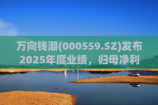 万向钱潮(000559.SZ)发布2025年度业绩，归母净利润10.36亿元，增长8.89%