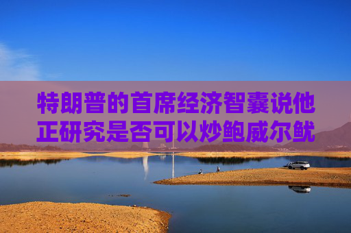 特朗普的首席经济智囊说他正研究是否可以炒鲍威尔鱿鱼  第1张
