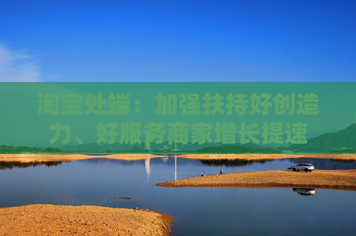 淘宝处端：加强扶持好创造力、好服务商家增长提速  第1张