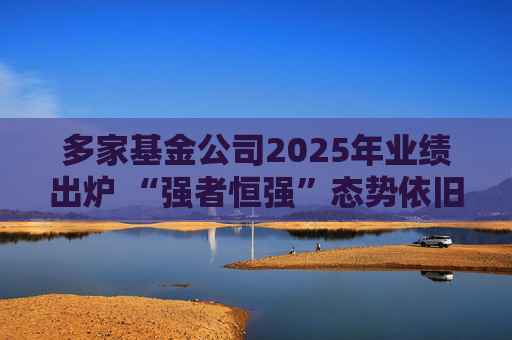 多家基金公司2025年业绩出炉 “强者恒强”态势依旧