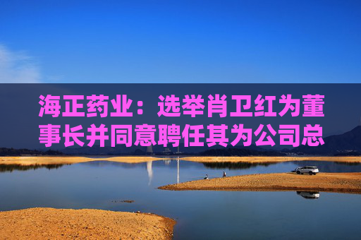 海正药业：选举肖卫红为董事长并同意聘任其为公司总裁  第1张