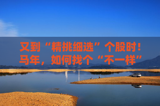 又到“精挑细选”个股时！马年，如何找个“不一样”的基金管理人替你出赛？