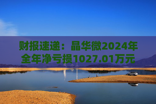 财报速递：晶华微2024年全年净亏损1027.01万元