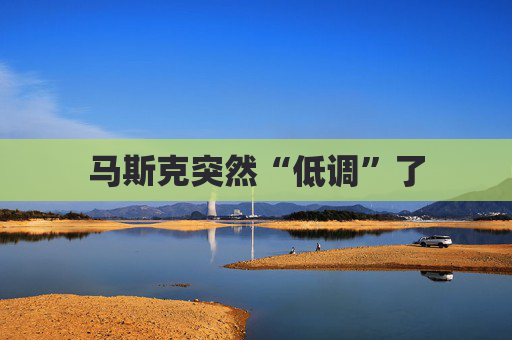 马斯克突然“低调”了  第1张