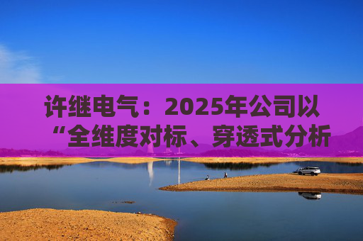 许继电气：2025年公司以“全维度对标、穿透式分析、动态化管控”为核心