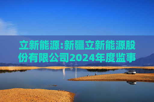 立新能源:新疆立新能源股份有限公司2024年度监事会工作报告