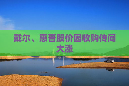 戴尔、惠普股价因收购传闻大涨