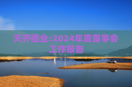 天齐锂业:2024年度董事会工作报告
