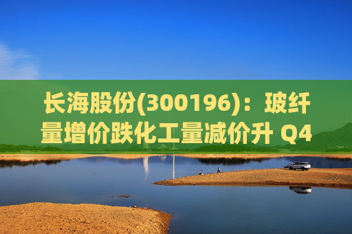 长海股份(300196)：玻纤量增价跌化工量减价升 Q4业绩同比显著修复