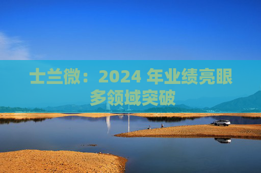 士兰微：2024 年业绩亮眼 多领域突破