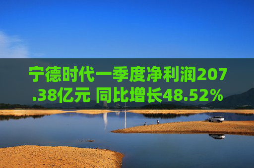 宁德时代一季度净利润207.38亿元 同比增长48.52%