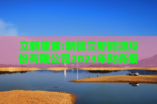 立新能源:新疆立新能源股份有限公司2023年财务报表审计报告书  第1张