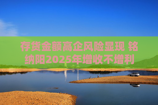存货金额高企风险显现 铭纳阳2025年增收不增利
