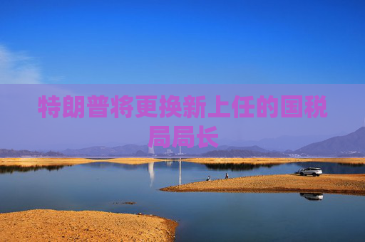 特朗普将更换新上任的国税局局长