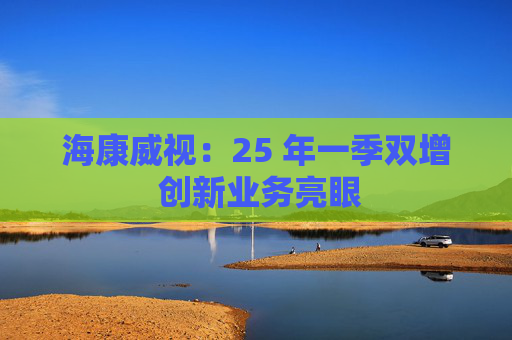 海康威视：25 年一季双增 创新业务亮眼  第1张