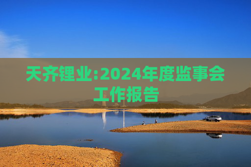 天齐锂业:2024年度监事会工作报告