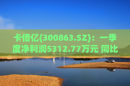 卡倍亿(300863.SZ)：一季度净利润5312.77万元 同比增加20.30%  第1张