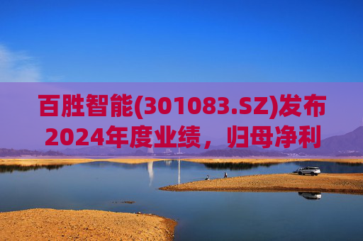 百胜智能(301083.SZ)发布2024年度业绩，归母净利润3302万元，同比下降6.15%  第1张