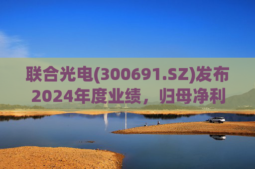 联合光电(300691.SZ)发布2024年度业绩，归母净利润3856.29万元，同比下降40.02%