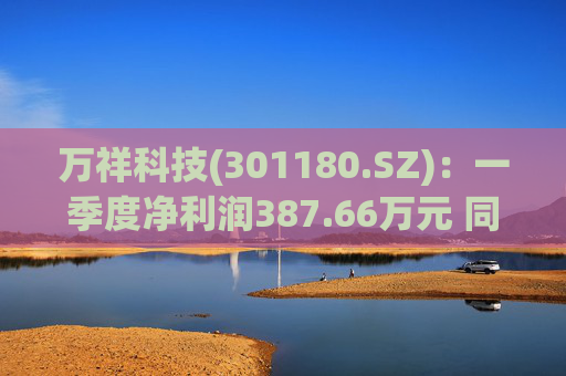 万祥科技(301180.SZ)：一季度净利润387.66万元 同比增加2125.47%  第1张