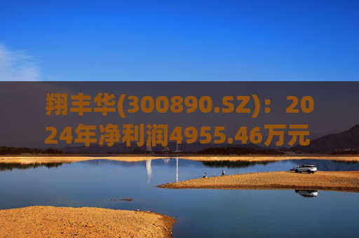 翔丰华(300890.SZ)：2024年净利润4955.46万元 同比下降40.23%