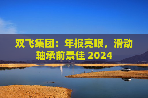 双飞集团：年报亮眼，滑动轴承前景佳 2024