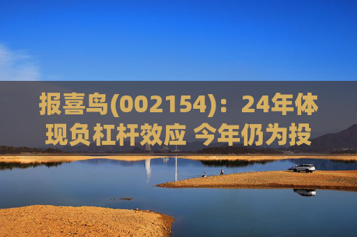 报喜鸟(002154)：24年体现负杠杆效应 今年仍为投入年