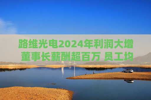 路维光电2024年利润大增 董事长薪酬超百万 员工均薪亦涨  第1张
