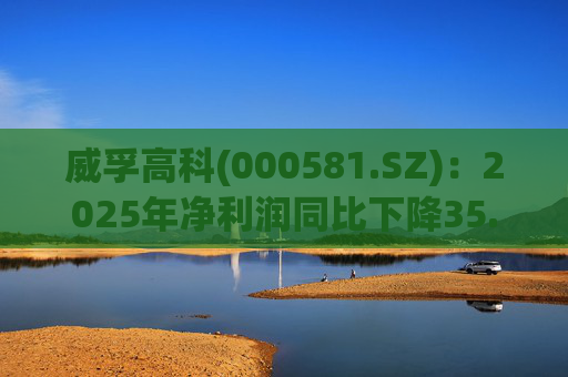 威孚高科(000581.SZ)：2025年净利润同比下降35.63% 拟10股派7元