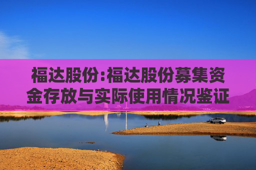福达股份:福达股份募集资金存放与实际使用情况鉴证报告