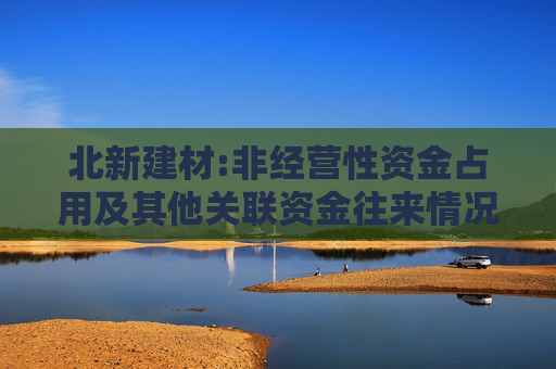 北新建材:非经营性资金占用及其他关联资金往来情况汇总表