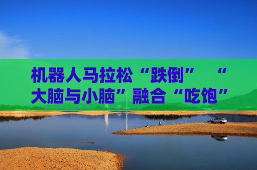 机器人马拉松“跌倒”  “大脑与小脑”融合“吃饱” 第1张