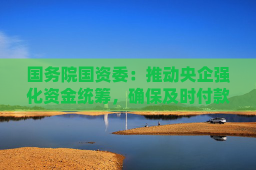 国务院国资委：推动央企强化资金统筹，确保及时付款