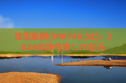顶固集创(300749.SZ)：2024年净亏损1.75亿元