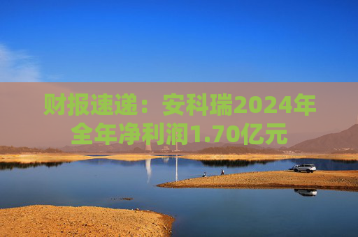 财报速递：安科瑞2024年全年净利润1.70亿元