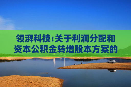 领湃科技:关于利润分配和资本公积金转增股本方案的公告  第1张