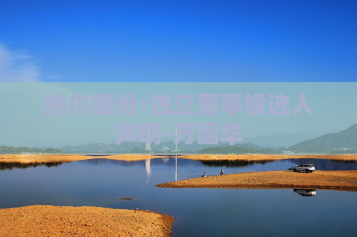 纳尔股份:独立董事候选人声明-万国华